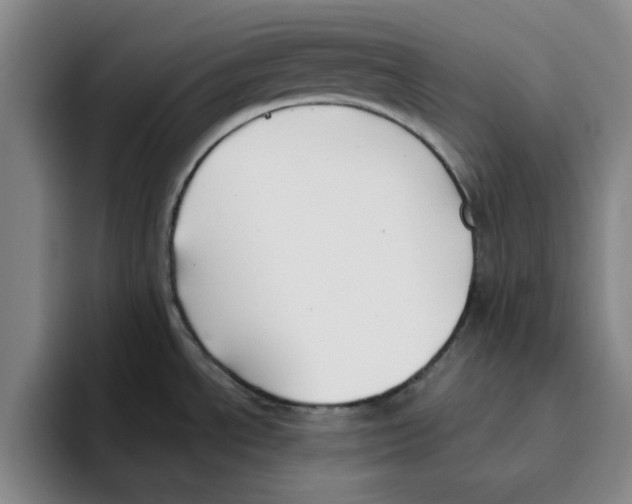 X0000096151534200802151344