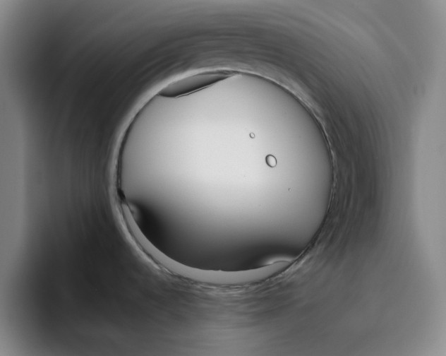 X0000096151536200802151344