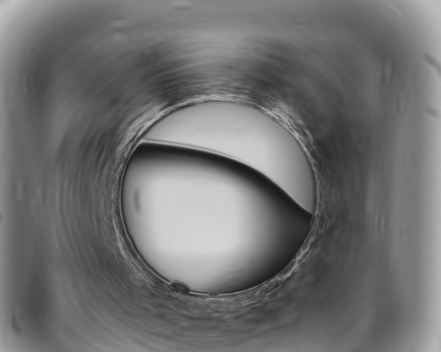 X0000096160001200801180901