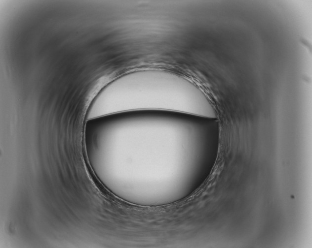 X0000096160003200801180901