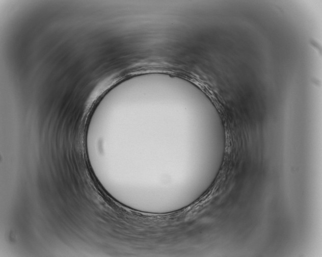 X0000096160004200801180901
