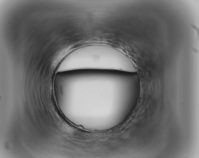 X0000096160005200801180901
