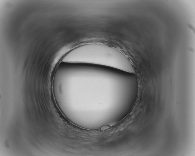 X0000096160006200801180901