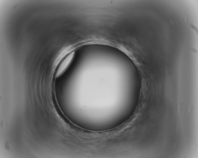X0000096160007200801180901
