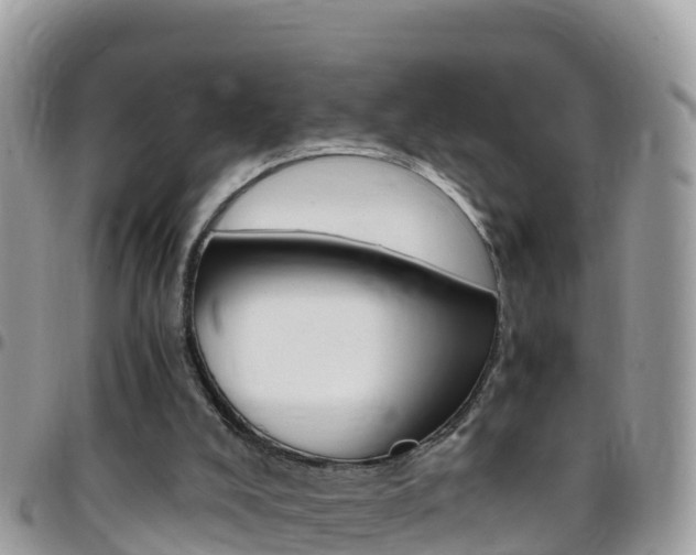 X0000096160008200801180901