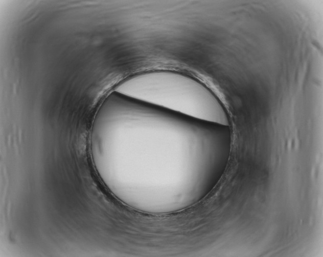 X0000096160010200801180901