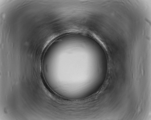 X0000096160011200801180901
