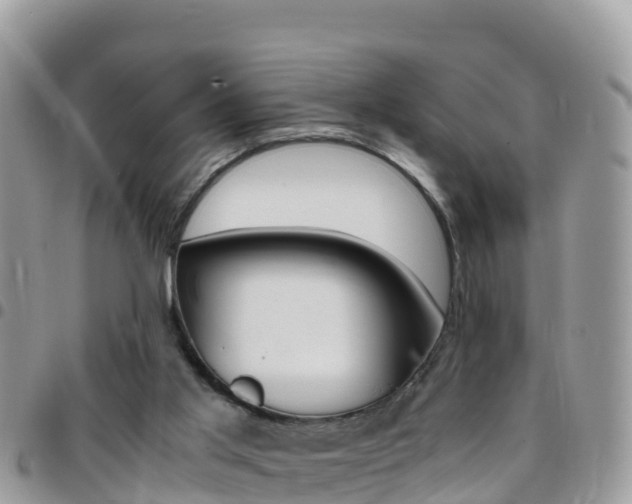 X0000096160013200801180901