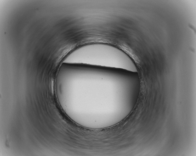 X0000096160014200801180901