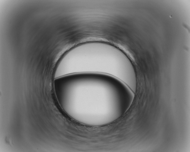 X0000096160015200801180901