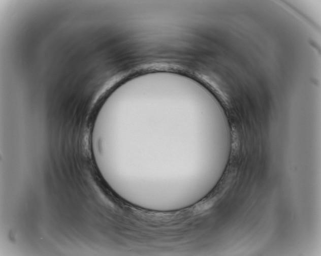 X0000096160016200801180901