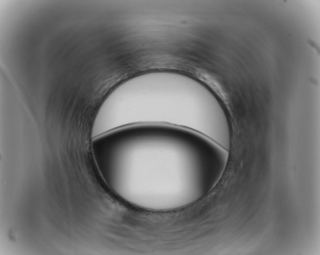 X0000096160017200801180901