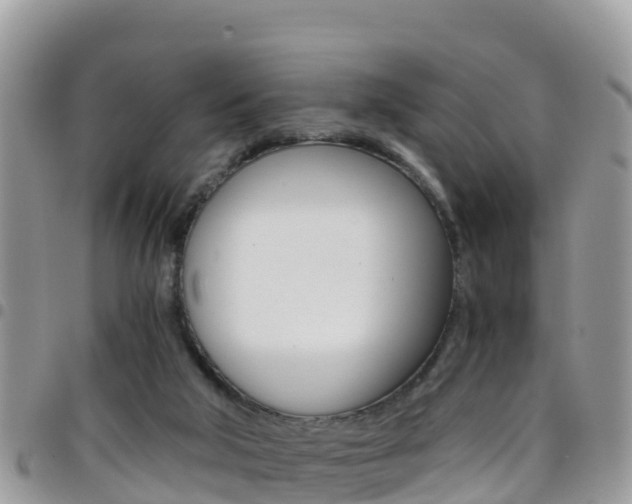 X0000096160018200801180901