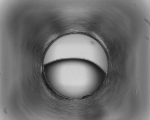 X0000096160019200801180901