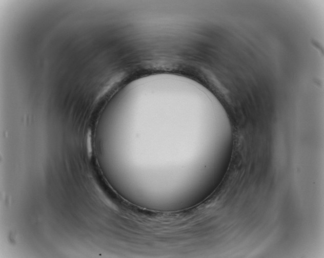 X0000096160020200801180901