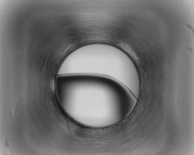X0000096160021200801180901