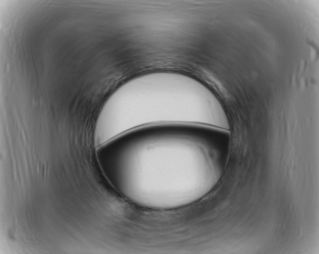 X0000096160025200801180901