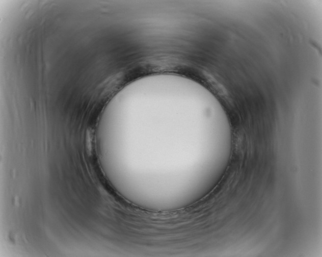 X0000096160026200801180901