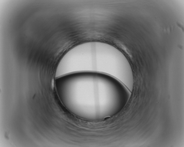 X0000096160027200801180901