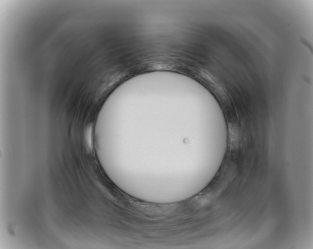 X0000096160028200801180901