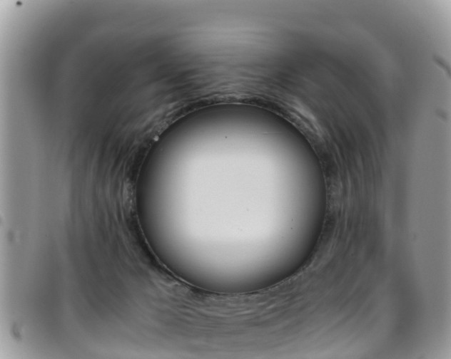 X0000096160029200801180901