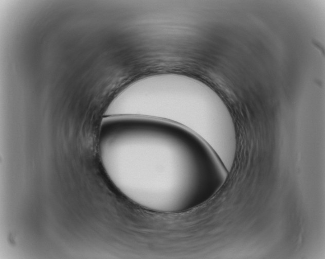 X0000096160031200801180901