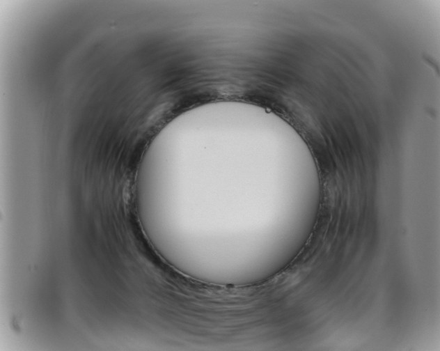 X0000096160032200801180901