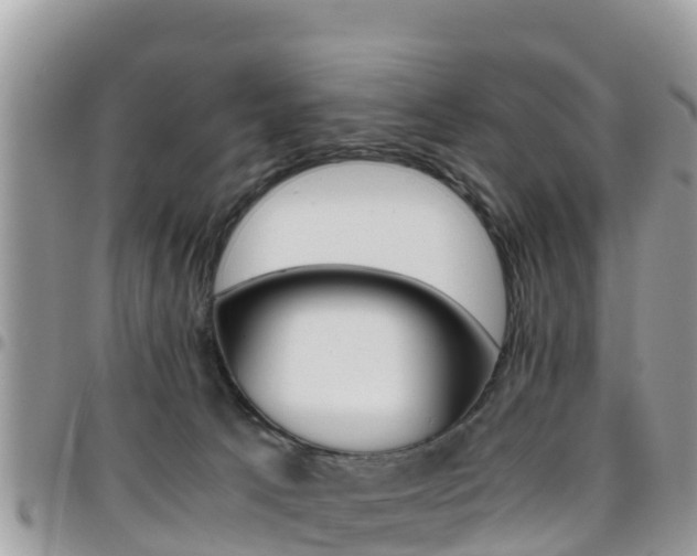 X0000096160033200801180901