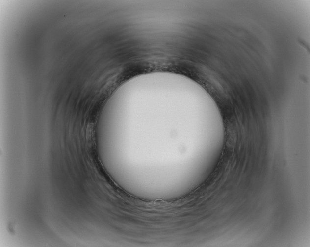 X0000096160034200801180901
