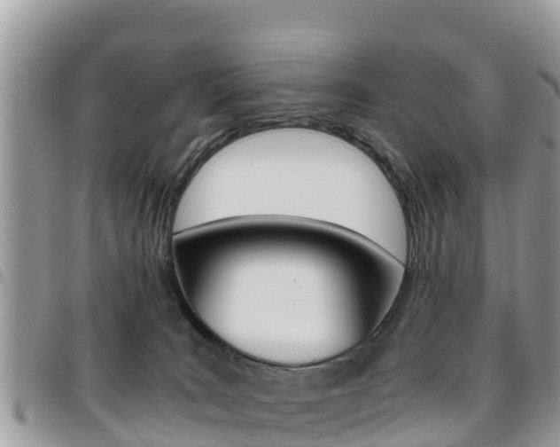 X0000096160035200801180901