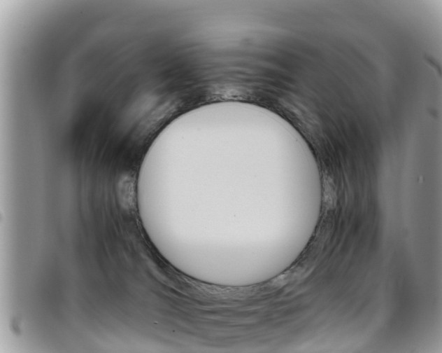 X0000096160036200801180901
