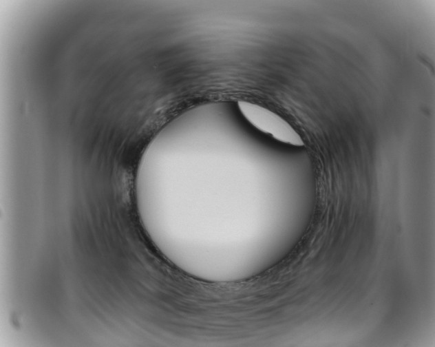 X0000096160038200801180901