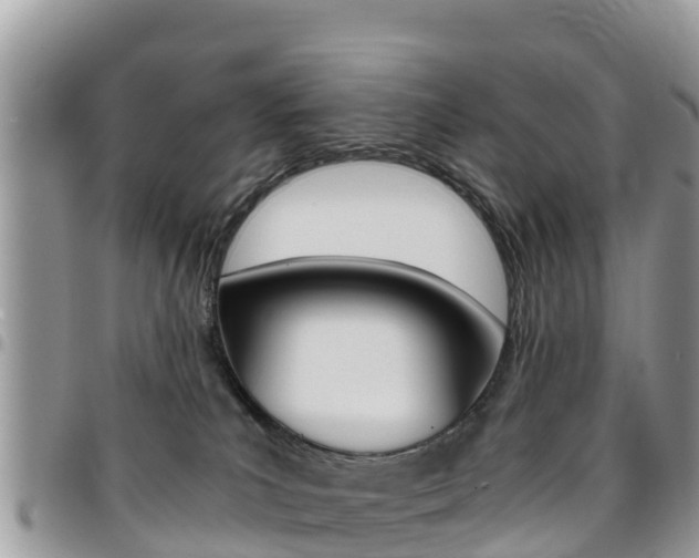 X0000096160039200801180901