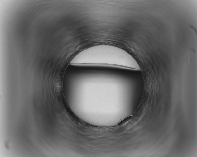 X0000096160040200801180901