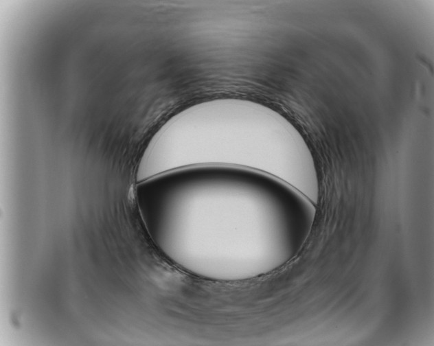 X0000096160041200801180901