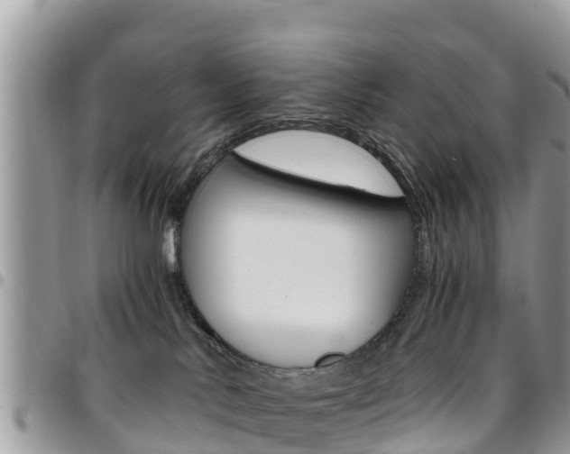 X0000096160042200801180901