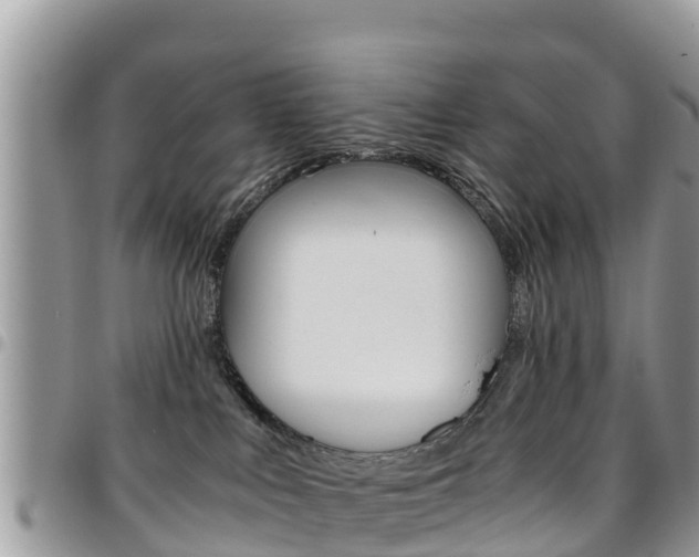 X0000096160043200801180901