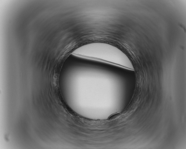 X0000096160044200801180901