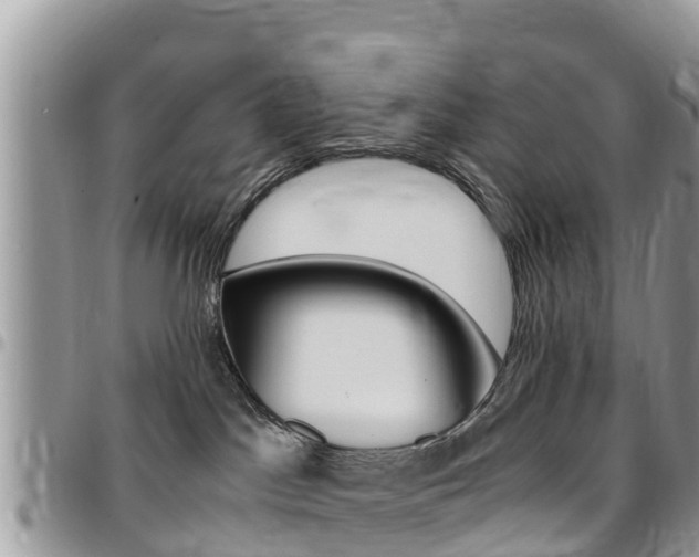 X0000096160045200801180901