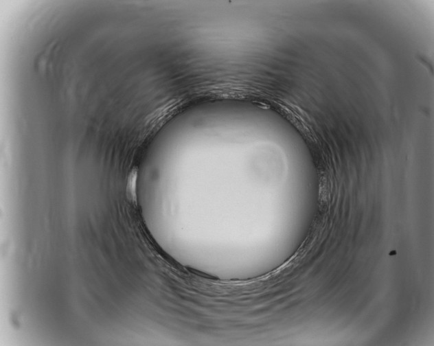 X0000096160047200801180901