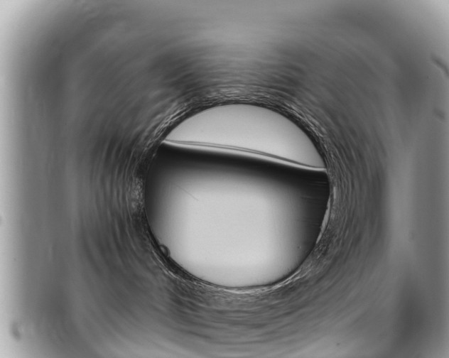 X0000096160048200801180901