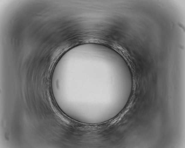 X0000096160049200801180900