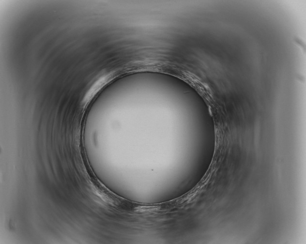 X0000096160051200801180900