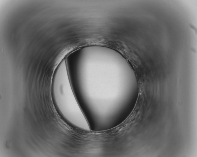 X0000096160052200801180900