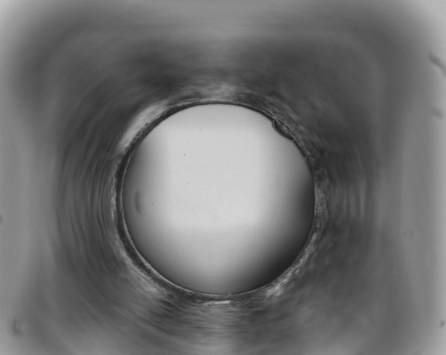 X0000096160054200801180900