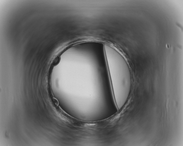 X0000096160055200801180900