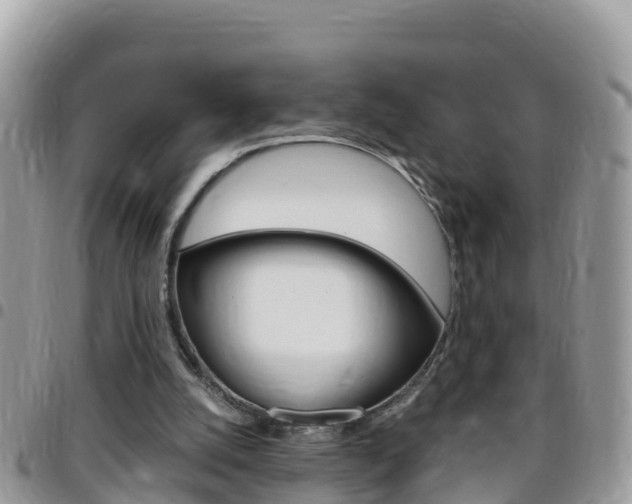 X0000096160056200801180900