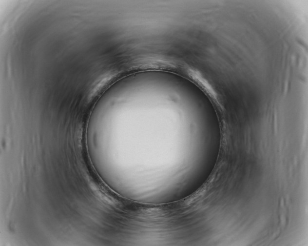 X0000096160058200801180900