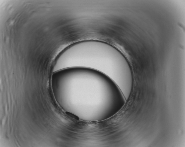 X0000096160060200801180900