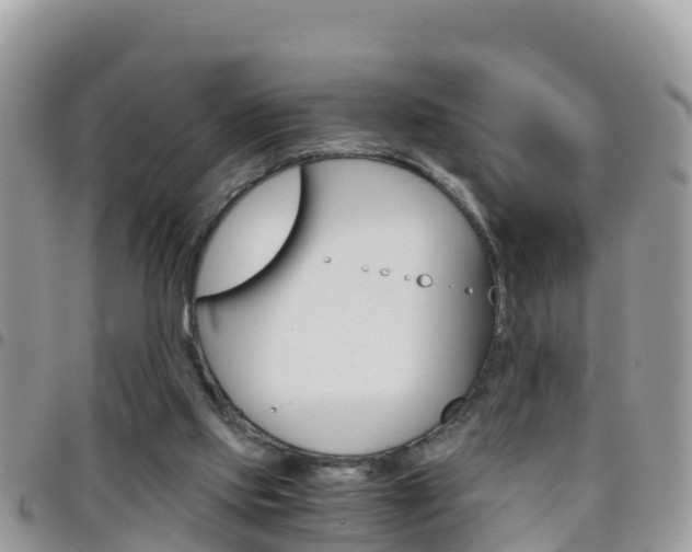 X0000096160061200801180900